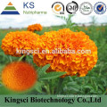 GMP Manufacturer Supply Organic Marigold Extract Lutein Powder Eye Medicion KS-01
